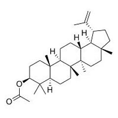 Lupeol acetate CAS 1617-68-1